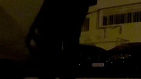 compilation of amateur boys flashing their cocks in the streets or parks