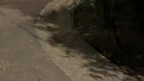 compilation of amateur boys flashing their cocks in the streets or parks