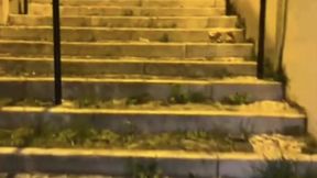 compilation of amateur boys flashing their cocks in the streets or parks
