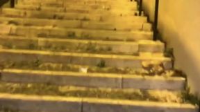 compilation of amateur boys flashing their cocks in the streets or parks
