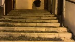 compilation of amateur boys flashing their cocks in the streets or parks
