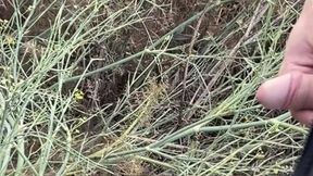 compilation of amateur boys flashing their cocks in the streets or parks