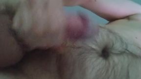Morning Cock