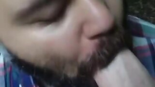 Bearded bear suicking pecker in the woods