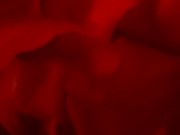 The Exorcism of a Big Dick