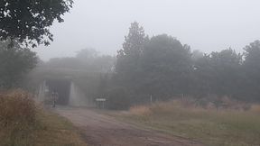 Exhibition Near the Highway