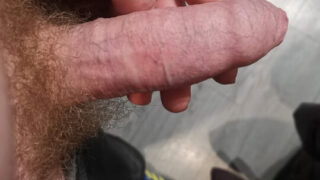 Rohe ungeschnittene Hengste ficken hungrige Löcher bareback