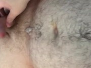 Cum on Bear
