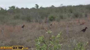 Awahle's wildlife fuck-venture