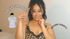 The Last Stroke: Cum Before Caged