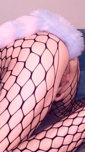 On All Fours, Dickclit Rock-hard