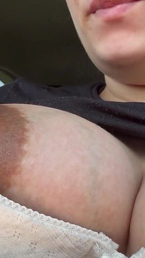 My Stepsister Sneezes From Flowers and Gets in the Car so the Scent of the Flowers Can Reach Her Nose Better