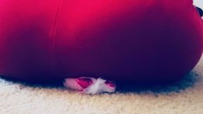 Giantess Bondage: MILF Big Ass Smothers Tiny Stuffed Slave for Amusement