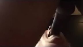 IMG 0884