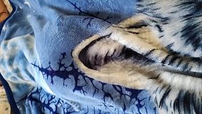 Linda manh&atilde_ de sol nascente