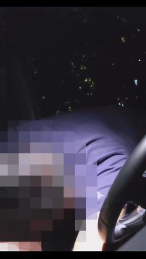 Unforgettable moment from &quot;Cruising at a rest stop - mutual blowjob&quot;