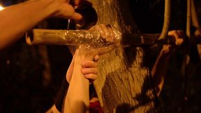 Sub Is Restrained and Used by Bearded Master in a Public Park.