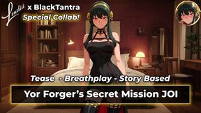 Yor Forger's Secret Mission JOI Challenge