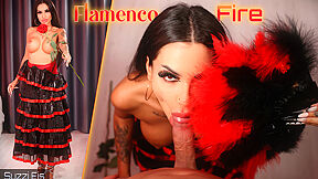 Flamenco Fire - Richard Still And Suzzi Eis
