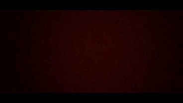 COMI A NOVINHA NO TAPETE .