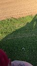 Outdoor Piss
