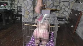 2 Slaves 24h Challenge - Titslave Liz & Slave ThannaA - Chapter 8 - Cage & Training Time - Part 1 wmv SD