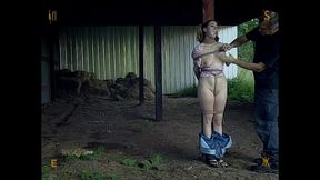 realtimebondage - spacegirl evil box bdsm porn video