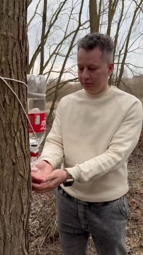 survival lifehack bushcraft ✅ survivor camping lifehacks outdoors, forest bushcraft shorts
