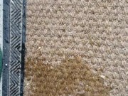 Quick floor mat piss - trans male