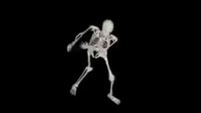 Esqueleto Corno Manso