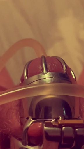 Sissy Is Required to Drink Her Own Urine From a Catheter