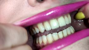 Mouth Tour