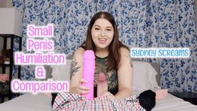 Small Penis Humiliation and Comparison - An SPH scene featuring: verbal humiliation, dick comparison, laughing, dick slapping, and brat girls - 1080 MP4