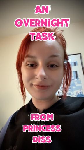 An Overnight Task From Princess Diss