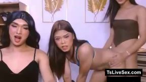 threesome sex with pretty ladyboys
