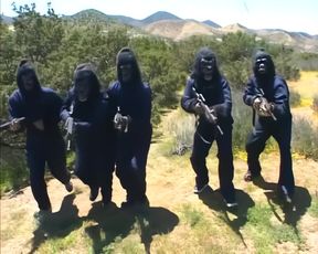 When the Cock Got to Mars...