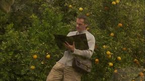 Next, they both get their orgasm at them same time, while trying the sixty nine position