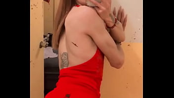 V&iacute_deo de verificaci&oacute_n