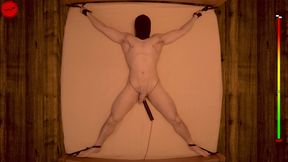 Edged to Insanity - 20 min restrained chastity vibrator prostate edging