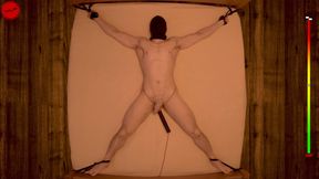 Edged to Insanity - 20 min restrained chastity vibrator prostate edging
