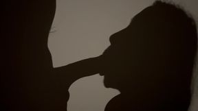 Wild fucking and shadow play