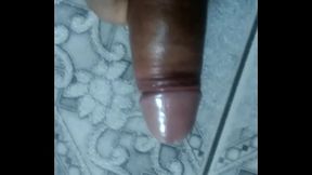 Suzana trans em uma punheta super gostosa