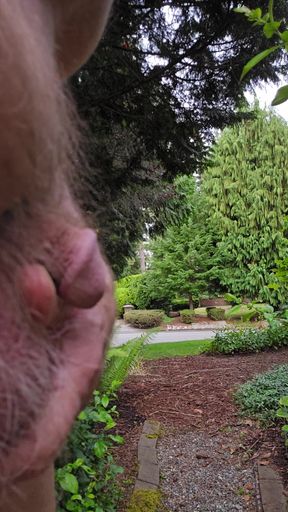 Backyard Sideyard and Street Viewing Nude