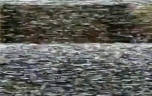 Jan b introduces sierra to a large black man