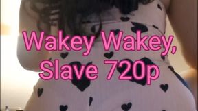 Wakey Wakey, Slave 720p