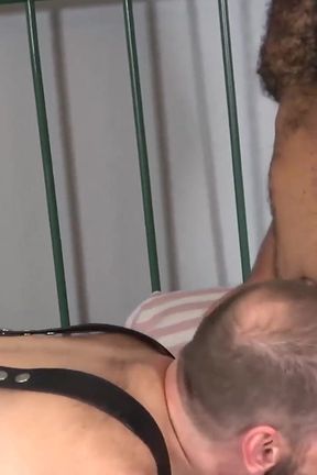 Bearfilms Hairy Fat Bears Brooklyn Bear and Steve Sommers Raw Breed Interracially