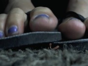 Free Dry Dirty Feet On Cheap Motel Rug