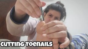 Toenail Cutting Close Up - Chubby Feet Grooming