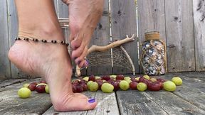 Grape Stomp Fest: Crushing Grapes the Old-Fashioned Way!