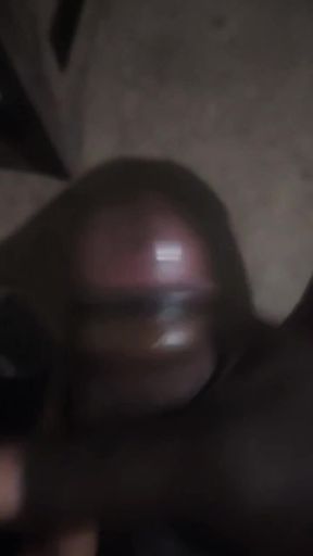 In the mood   Clip 2